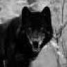 blackwolf